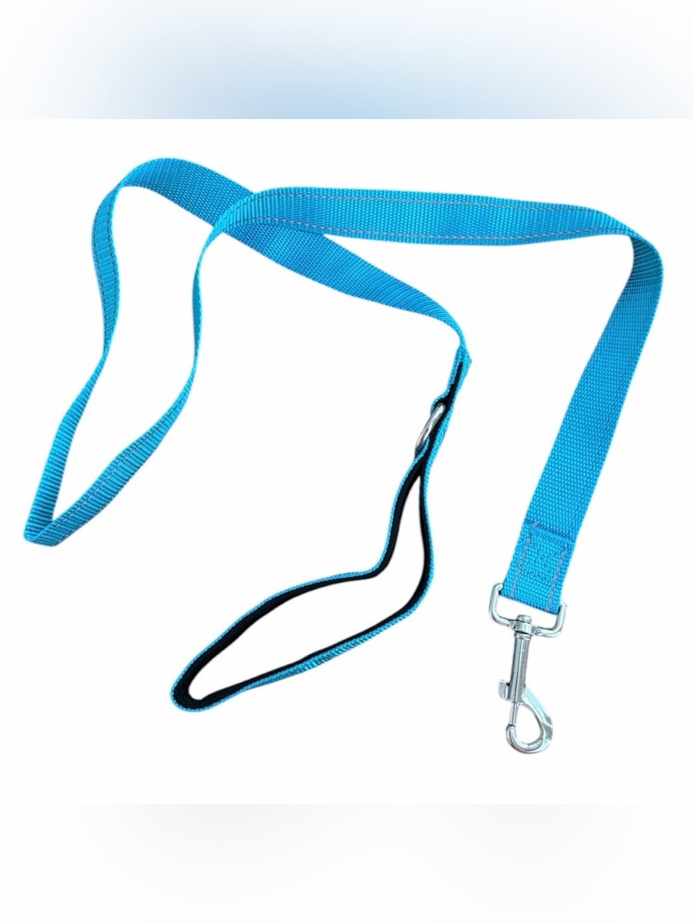 Blue Padded Dog Leash with Metal Clip